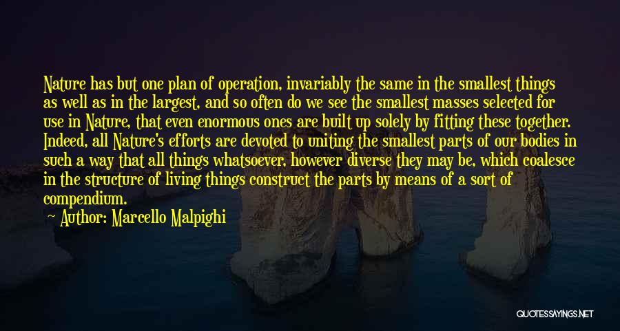 Marcello Malpighi Quotes 2119129