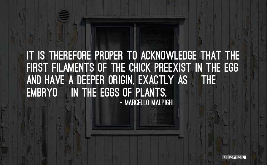 Marcello What Are You Doing Quotes By Marcello Malpighi Marcello What Are You Doing Quotes By Marcello Malpighi