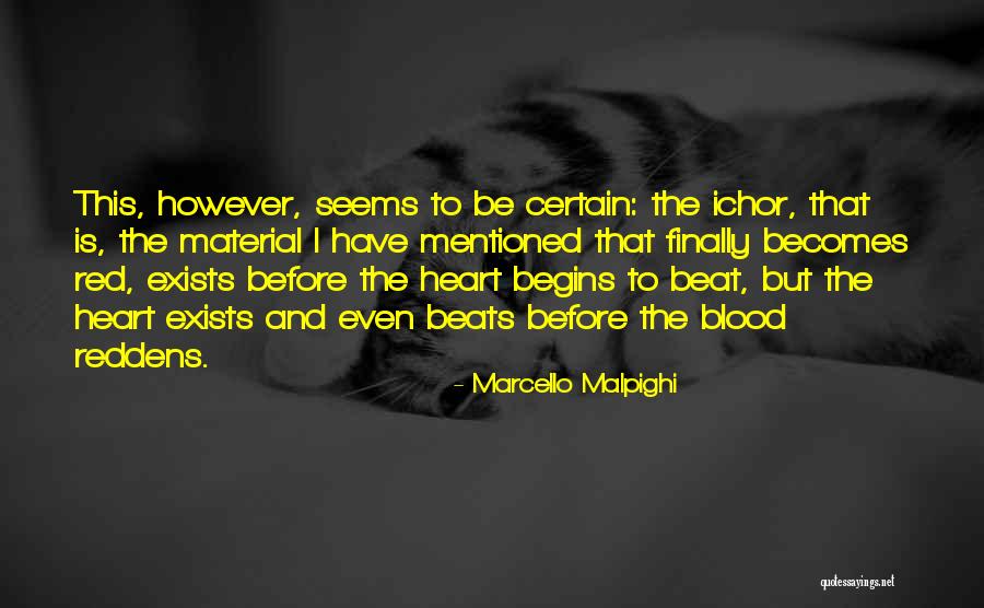 Marcello What Are You Doing Quotes By Marcello Malpighi Marcello What Are You Doing Quotes By Marcello Malpighi