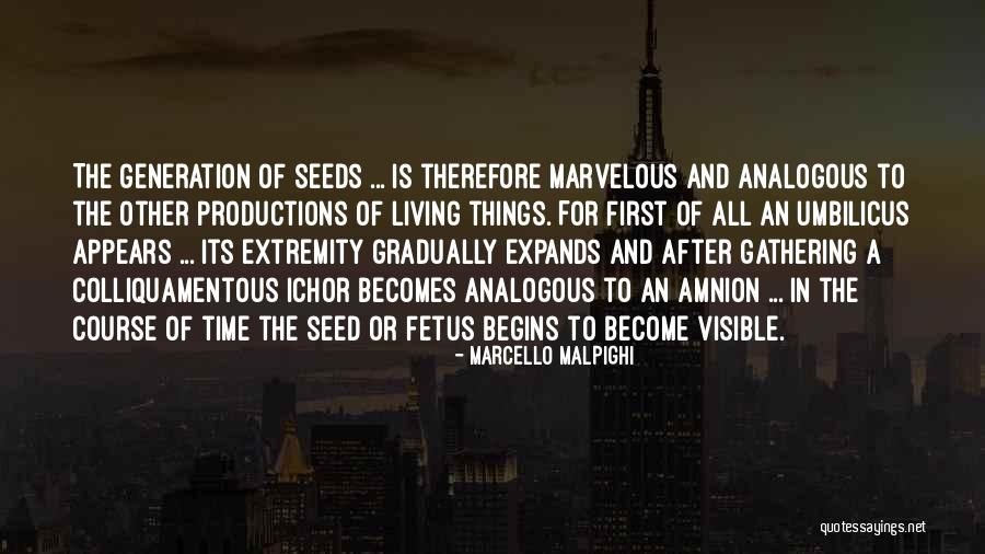Marcello What Are You Doing Quotes By Marcello Malpighi Marcello What Are You Doing Quotes By Marcello Malpighi