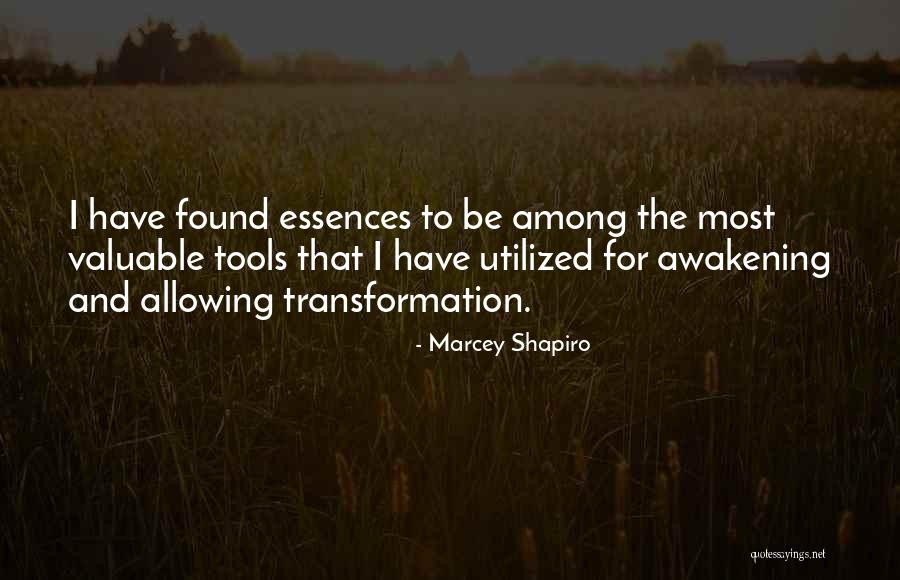 Marcey Shapiro Quotes 1134792 Marcey Shapiro Quotes 1134792