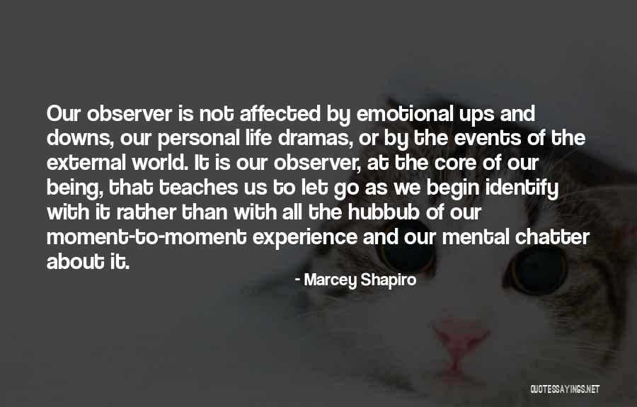 Marcey Shapiro Quotes 2074040 Marcey Shapiro Quotes 2074040