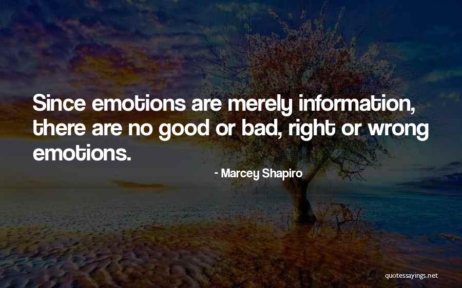 Marcey Shapiro Quotes 2122134 Marcey Shapiro Quotes 2122134