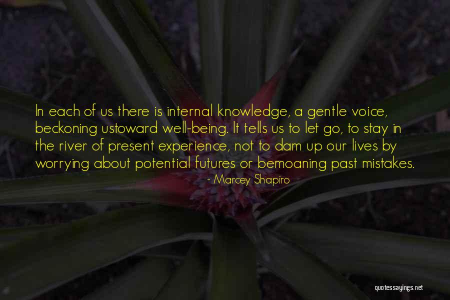 Marcey Shapiro Quotes 240043 Marcey Shapiro Quotes 240043