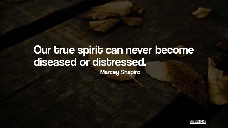 Marcey Shapiro Quotes 401722 Marcey Shapiro Quotes 401722