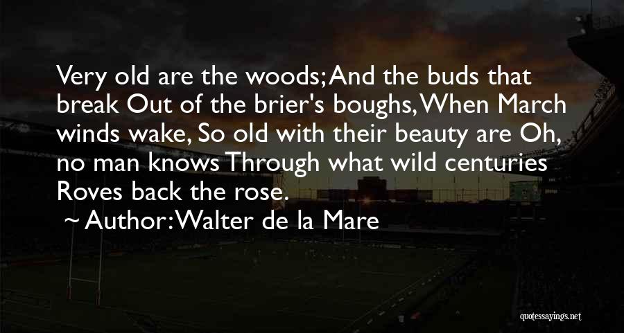 March Winds Quotes By Walter De La Mare