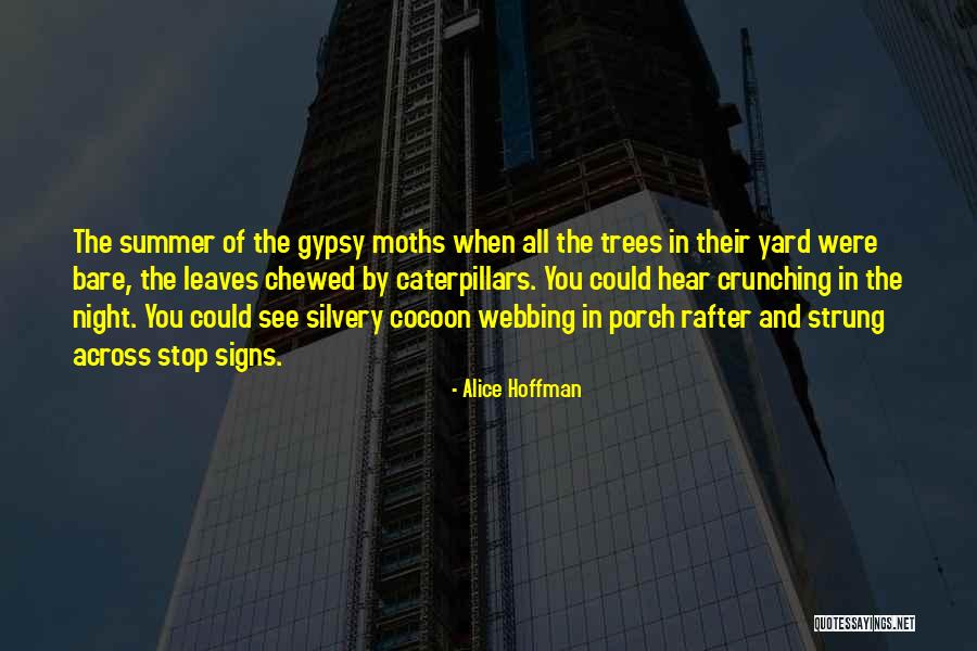 Marchioro Clipper Quotes By Alice Hoffman Marchioro Clipper Quotes By Alice Hoffman