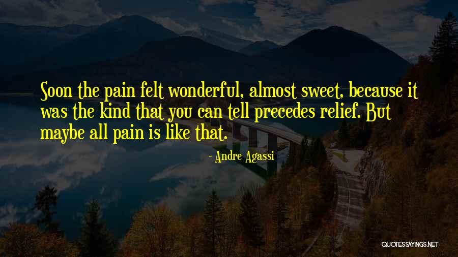 Marcie Barkin Quotes By Andre Agassi Marcie Barkin Quotes By Andre Agassi
