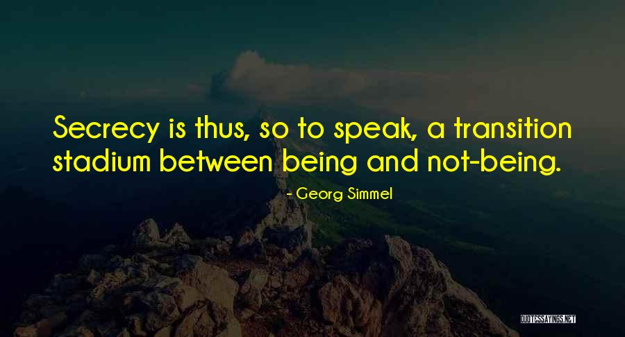 Marcille Architects Quotes By Georg Simmel