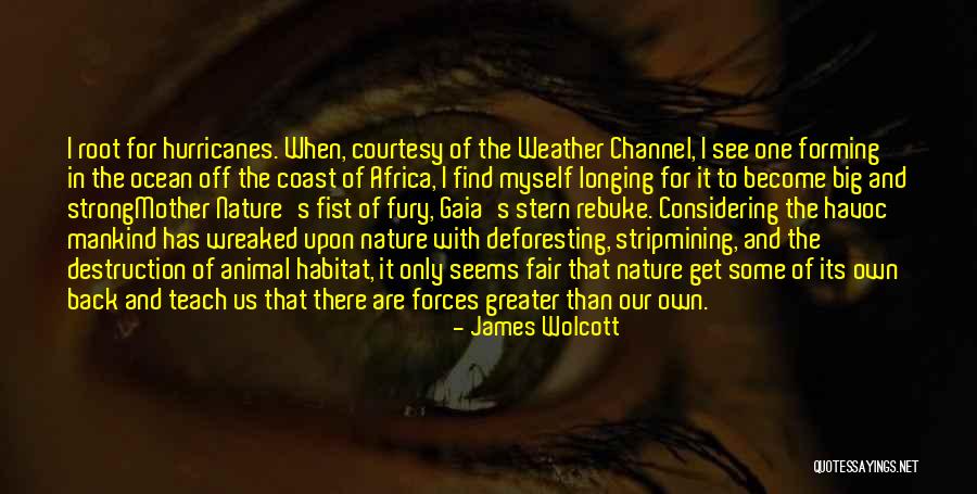 Marciniak Missing Quotes By James Wolcott Marciniak Missing Quotes By James Wolcott