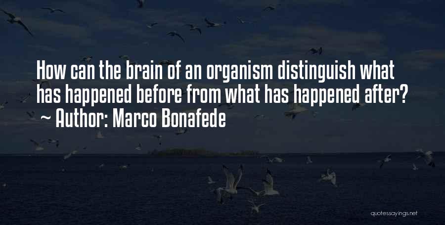 Marco Bonafede Quotes 2014267