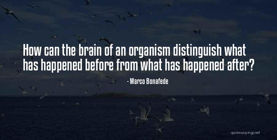 Marco Bonafede Quotes 2014267 Marco Bonafede Quotes 2014267