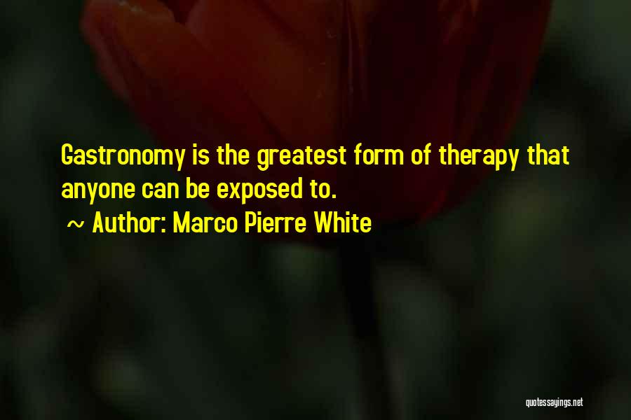 Marco D'aviano Quotes By Marco Pierre White