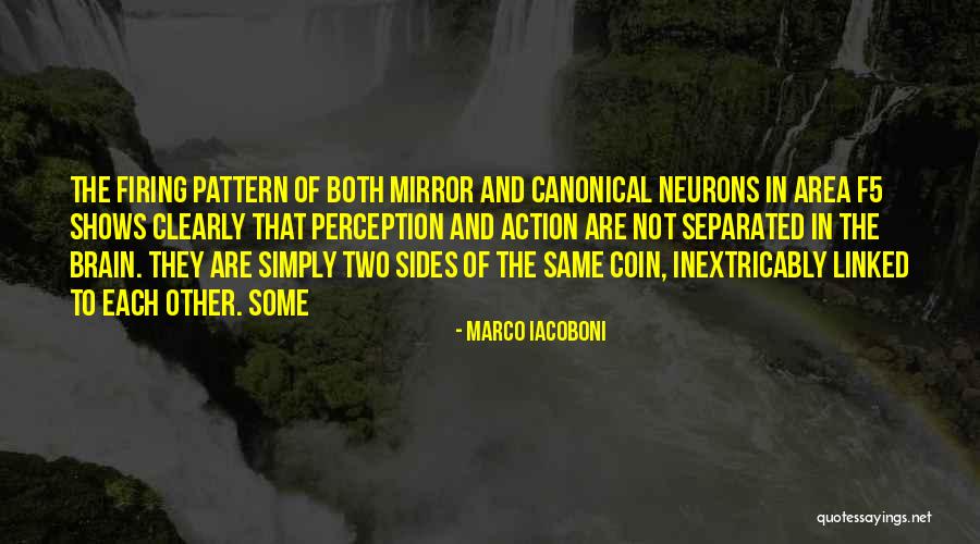 Marco Iacoboni Quotes 2043008 Marco Iacoboni Quotes 2043008