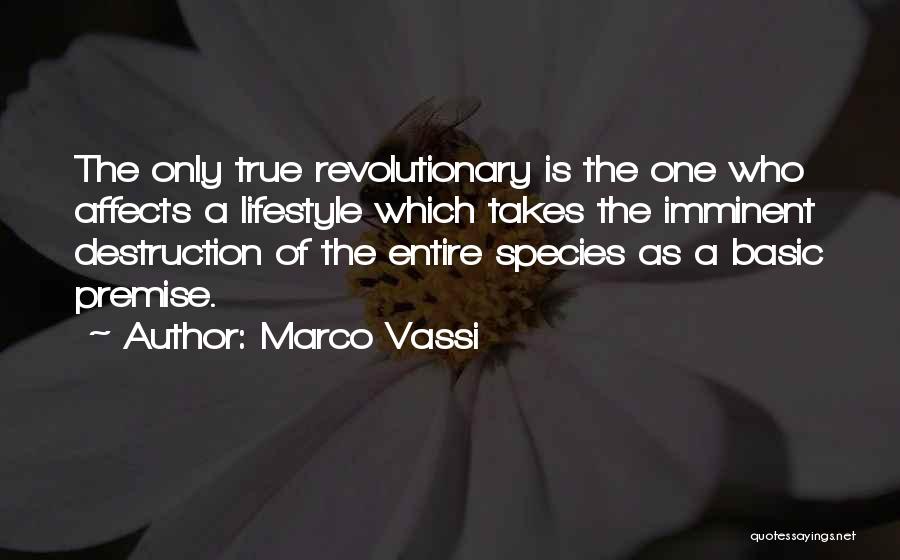 Marco Vassi Quotes 409222