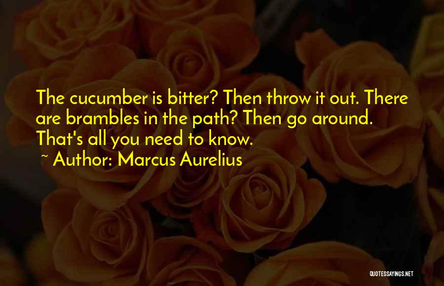 Marcus Aurelius Quotes 1440164