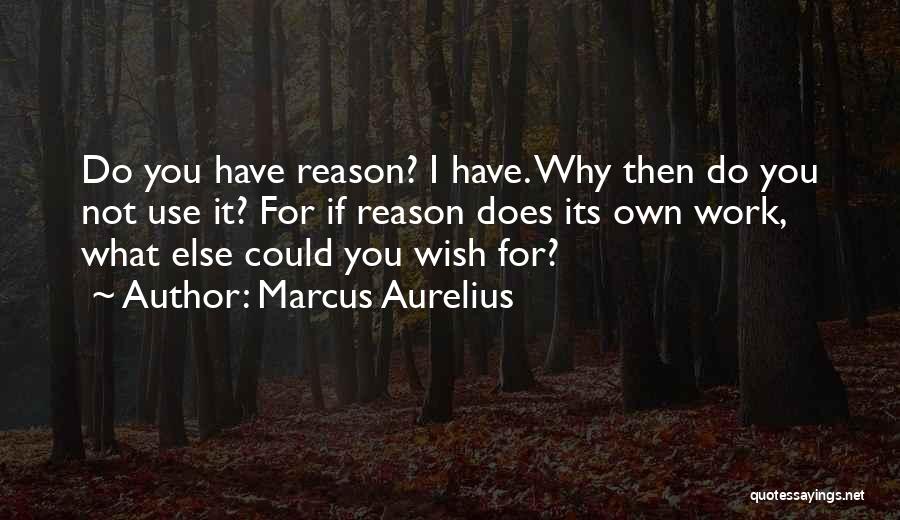 Marcus Aurelius Quotes 1678193