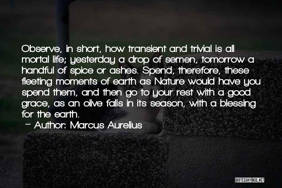 Marcus Aurelius Quotes 1751091