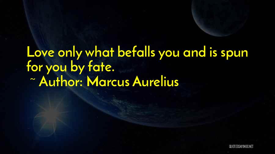 Marcus Aurelius Quotes 325000