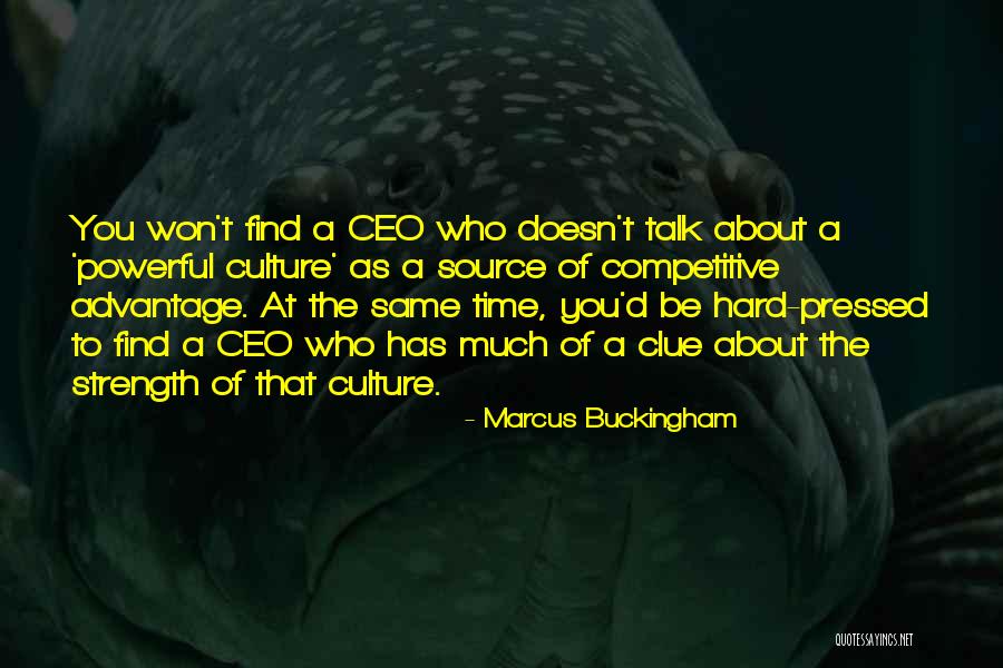 Marcus Buckingham Quotes 1461464 Marcus Buckingham Quotes 1461464