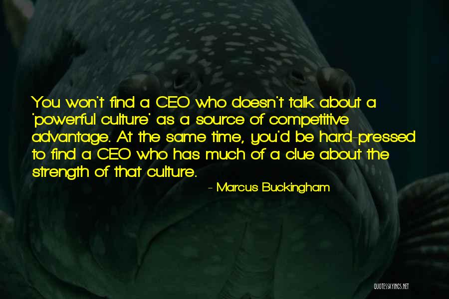 Marcus Buckingham Quotes 1461464