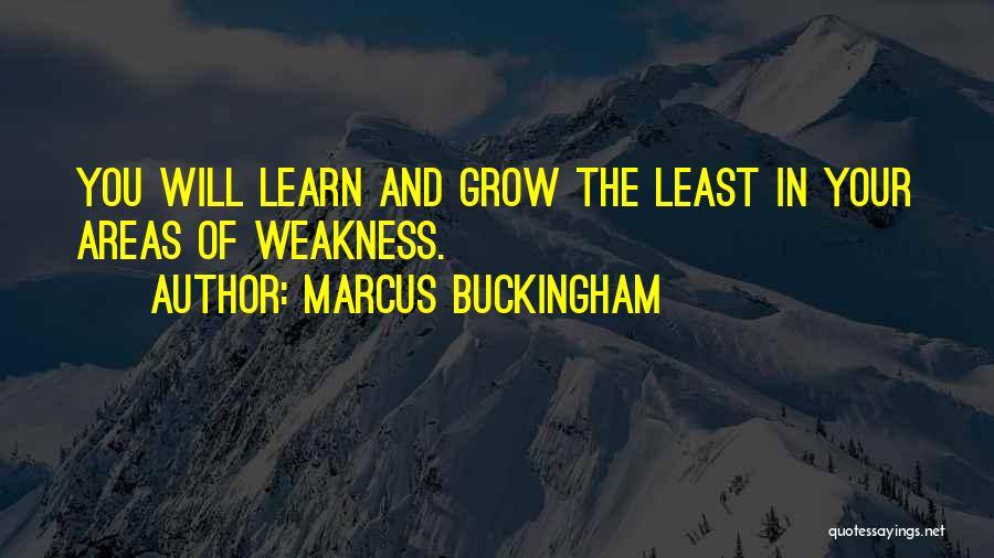 Marcus Buckingham Quotes 179214