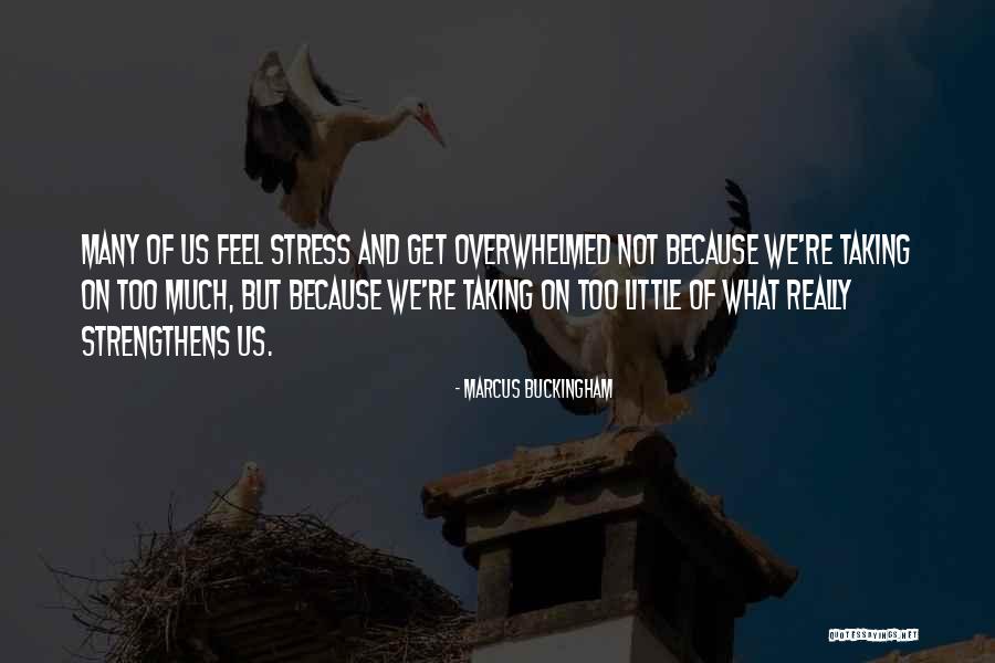 Marcus Buckingham Quotes 2142939 Marcus Buckingham Quotes 2142939