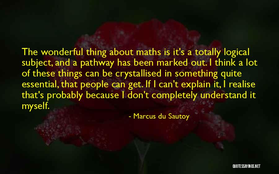 Marcus Du Sautoy Quotes 153572