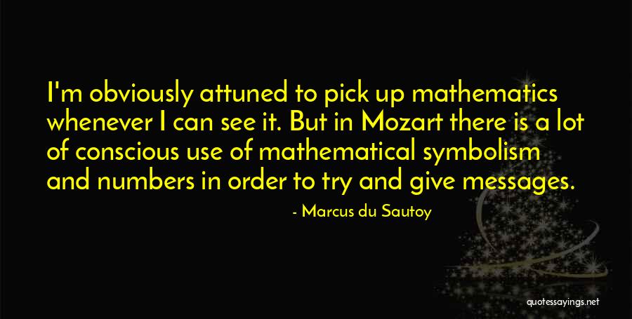 Marcus Du Sautoy Quotes 824306