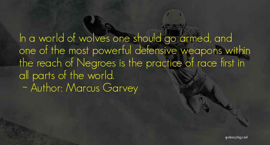 Marcus Garvey Quotes 1693010