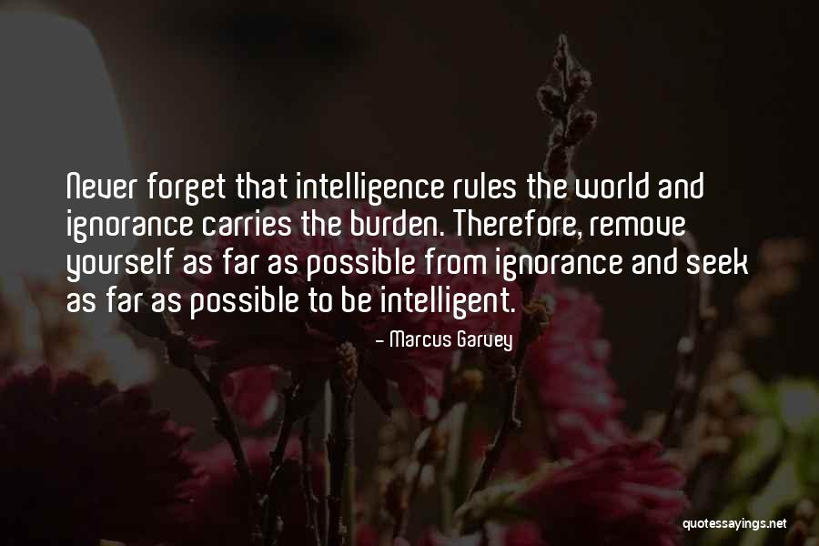 Marcus Garvey Quotes 1877461