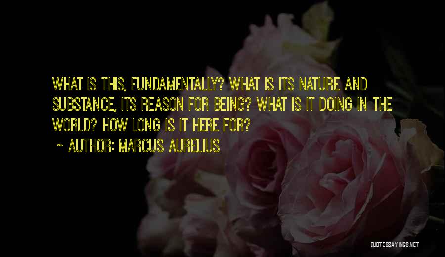 Marcus Quotes By Marcus Aurelius