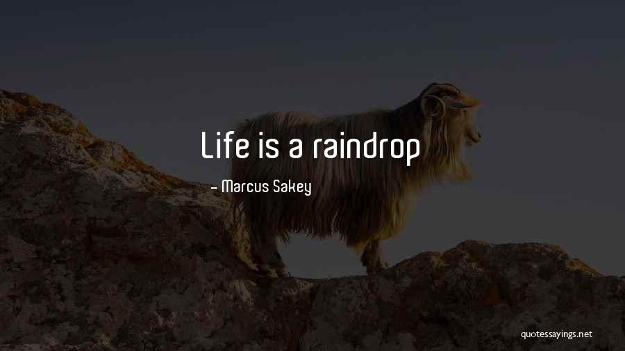 Marcus Sakey Quotes 1364696 Marcus Sakey Quotes 1364696