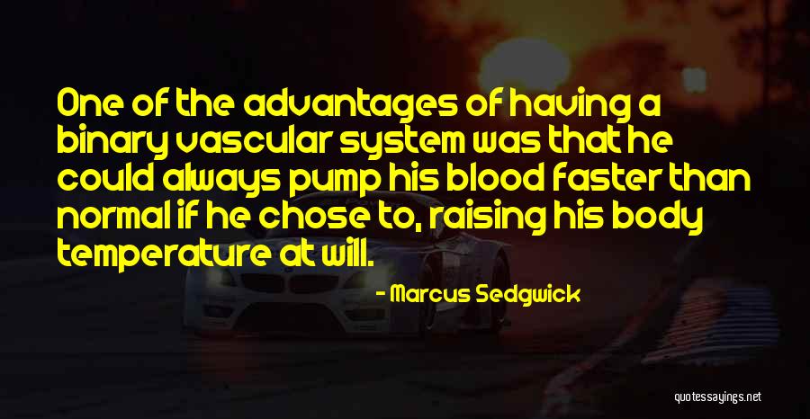 Marcus Sedgwick Quotes 1835081