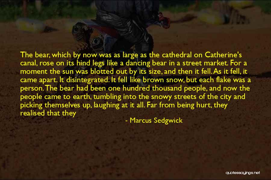 Marcus Sedgwick Quotes 2204303