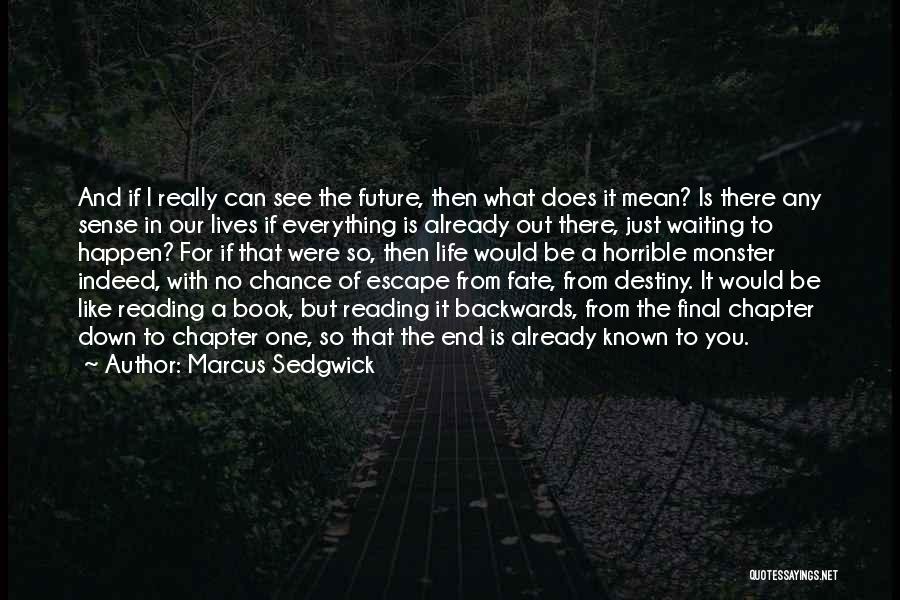 Marcus Sedgwick Quotes 486226