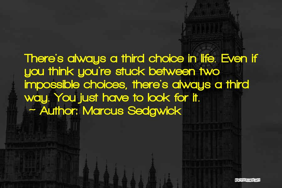 Marcus Sedgwick Quotes 543697