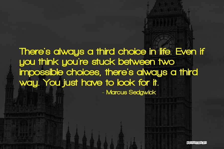 Marcus Sedgwick Quotes 543697