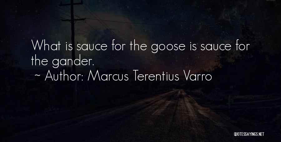 Marcus Terentius Varro Quotes 979956