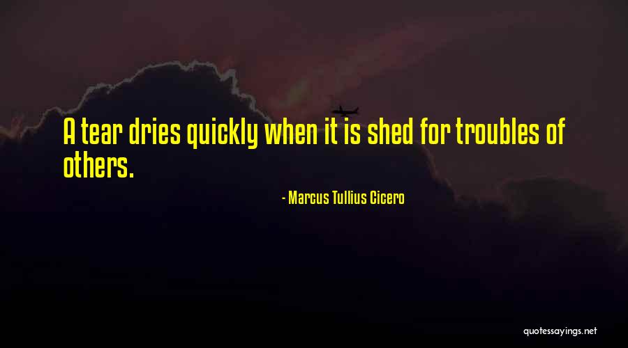 Marcus Tullius Cicero Quotes 210581