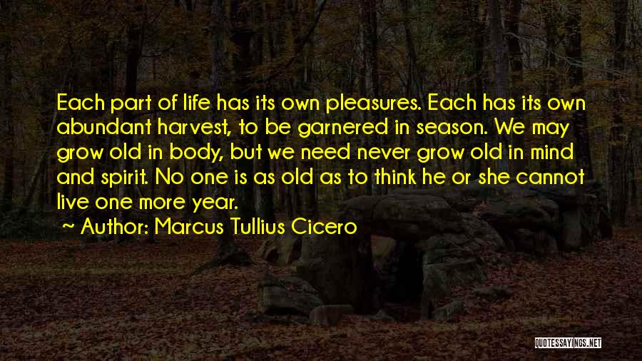 Marcus Tullius Cicero Quotes 514571