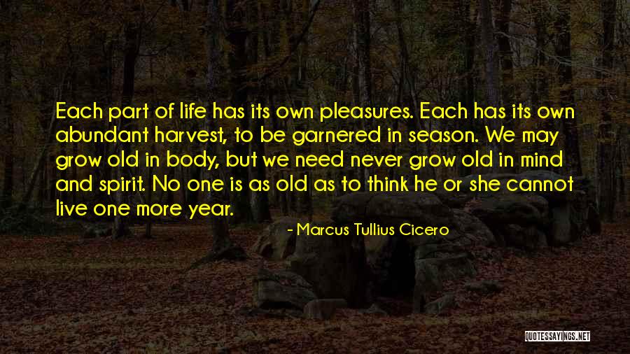 Marcus Tullius Cicero Quotes 514571