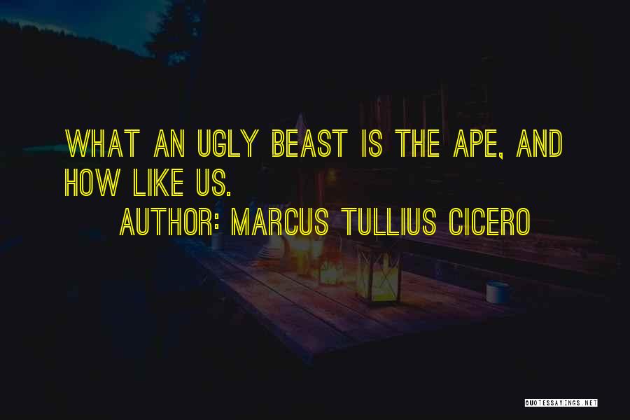 Marcus Tullius Cicero Quotes 755881