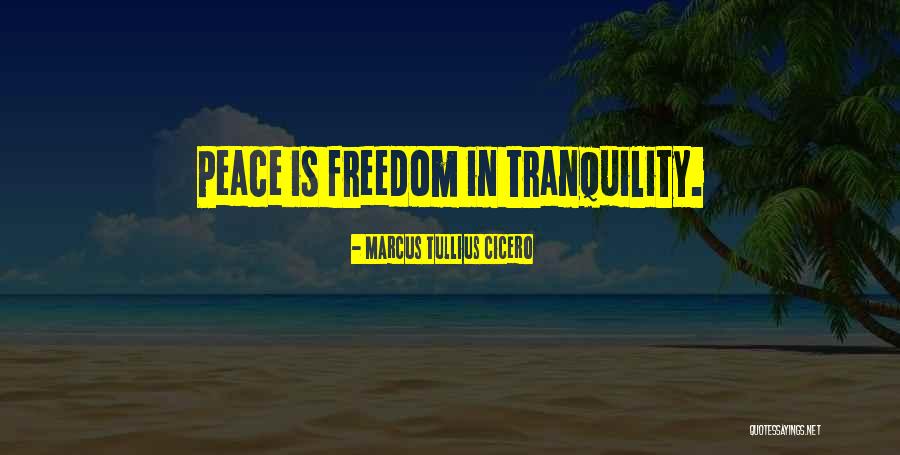 Marcus Tullius Cicero Quotes 917547