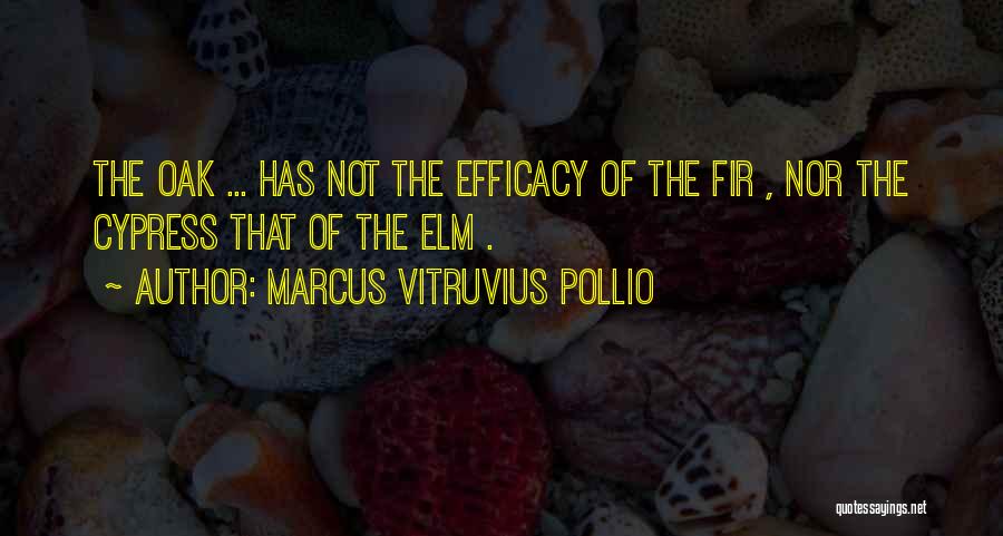 Marcus Vitruvius Pollio Quotes 1342945