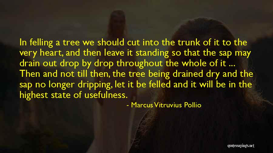 Marcus Vitruvius Pollio Quotes 2175031