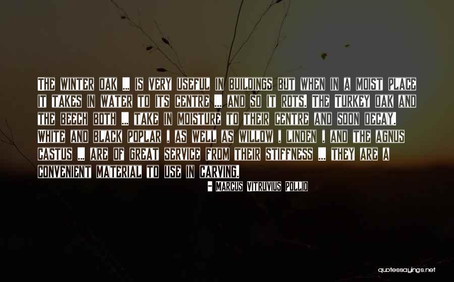 Marcus Vitruvius Quotes By Marcus Vitruvius Pollio Marcus Vitruvius Quotes By Marcus Vitruvius Pollio