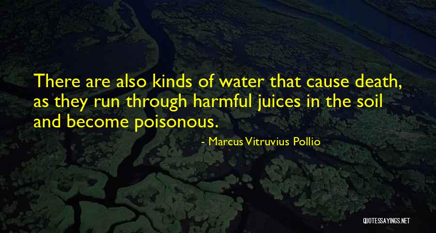 Marcus Vitruvius Quotes By Marcus Vitruvius Pollio Marcus Vitruvius Quotes By Marcus Vitruvius Pollio