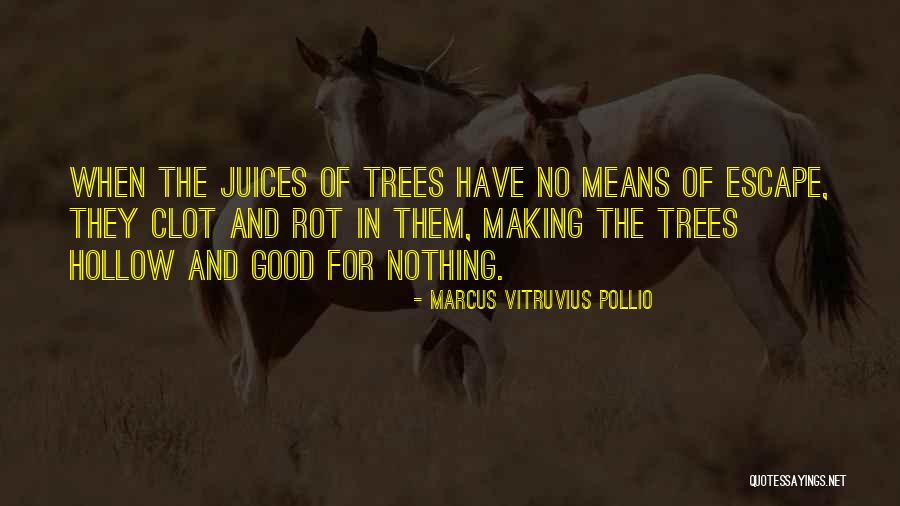 Marcus Vitruvius Quotes By Marcus Vitruvius Pollio Marcus Vitruvius Quotes By Marcus Vitruvius Pollio