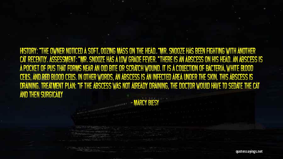 Marcy Quotes By Marcy Blesy Marcy Quotes By Marcy Blesy